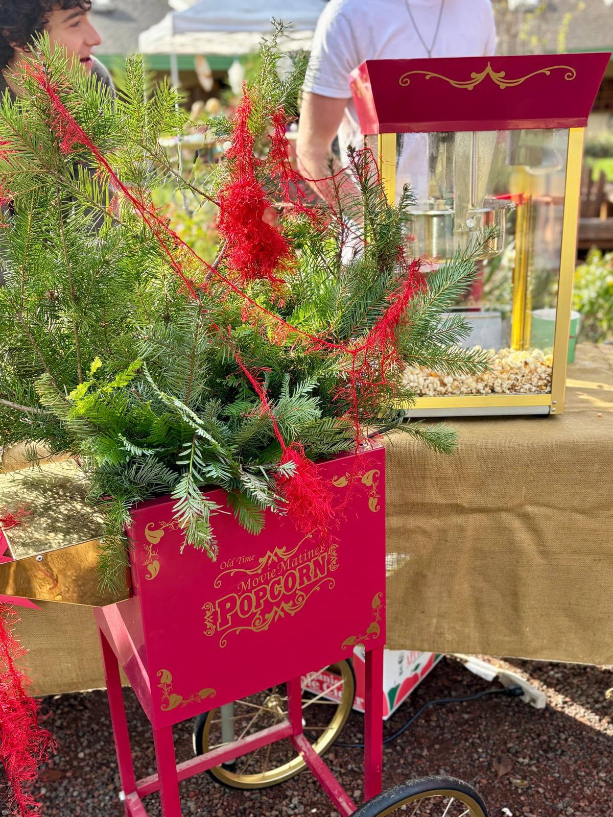 A vintage-style red popcorn cart decorated with fresh fir boughs and red ribbon stands on a burlap-covered table at the Winter Faire, with a young volunteer chatting behind it.