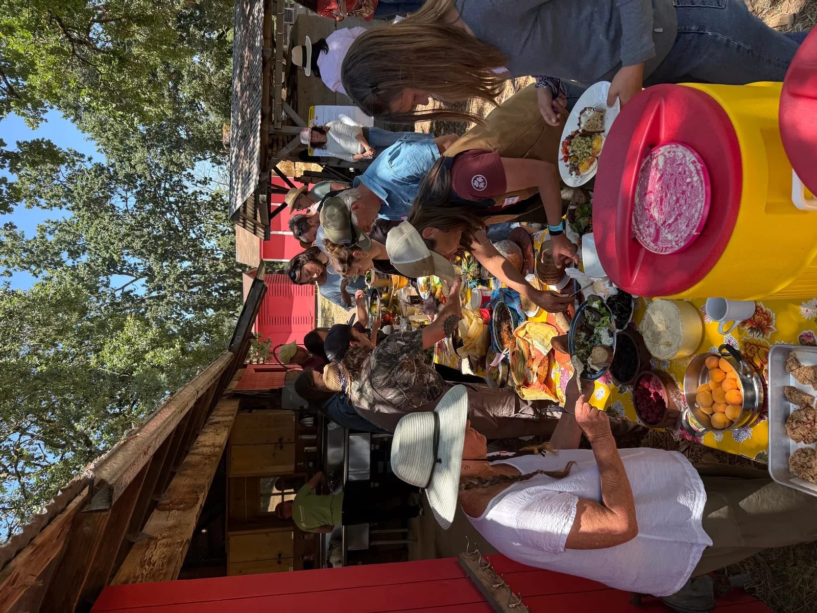 Guests lining up for a shared biodynamic feast at outdoor tables