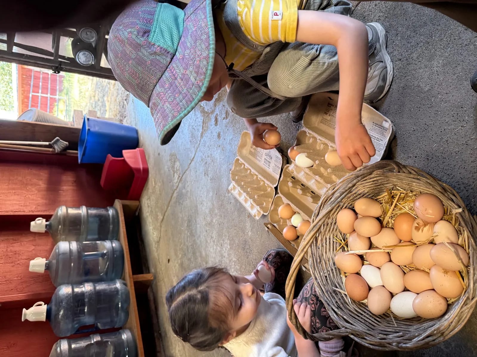 Children collecting farm eggs