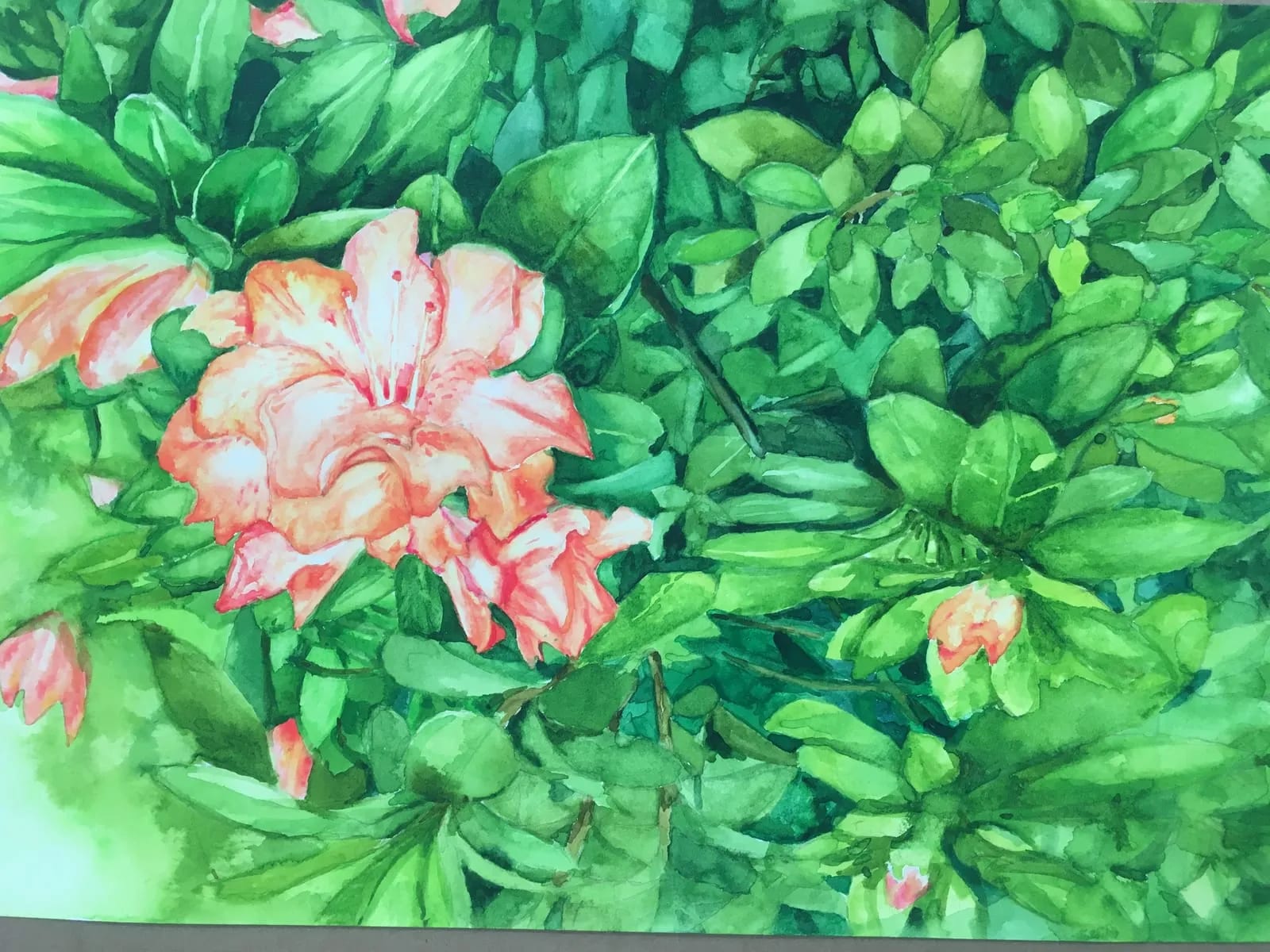 Pink azalea watercolor painting