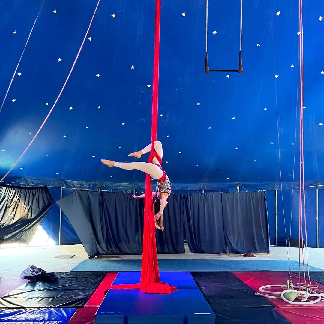 An aerialist inverts on the red silks beneath the Big Top's star-scattered canopy.