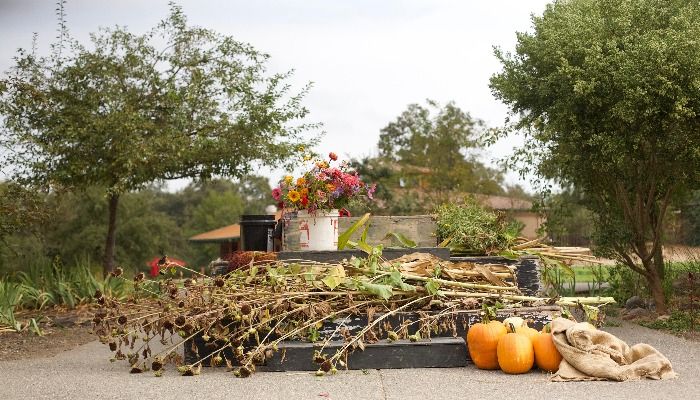 Pumpkins, dried sunflower stalks, and a bucket of cut flowers arranged on a harvest display outside the farm buildings