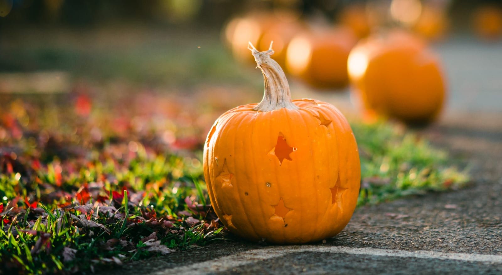 A jack-o'-lantern carved with tiny star shapes glows on a garden path at golden hour, with several more carved pumpkins softly blurred in a row behind it.