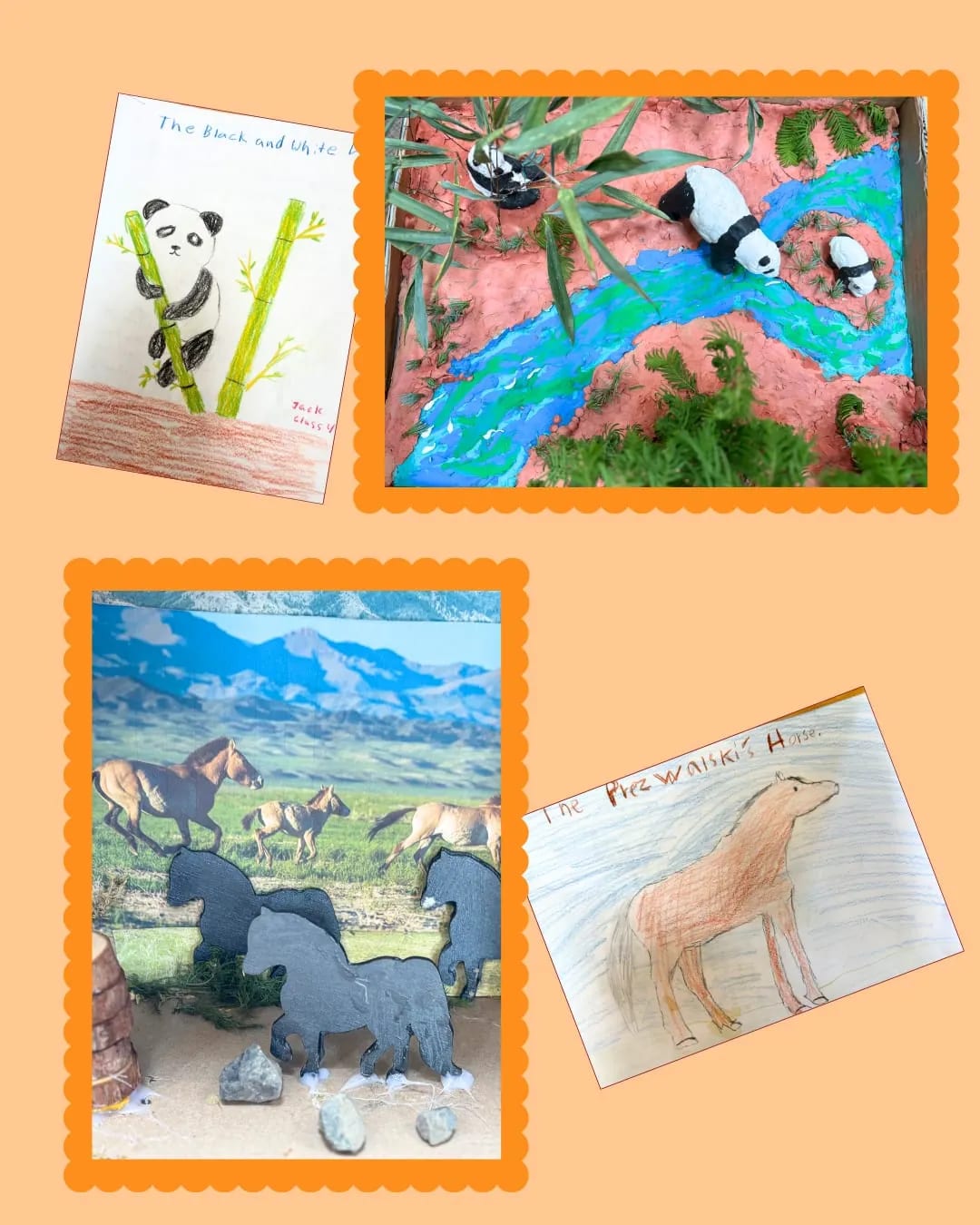 G4 animal kingdom art projects