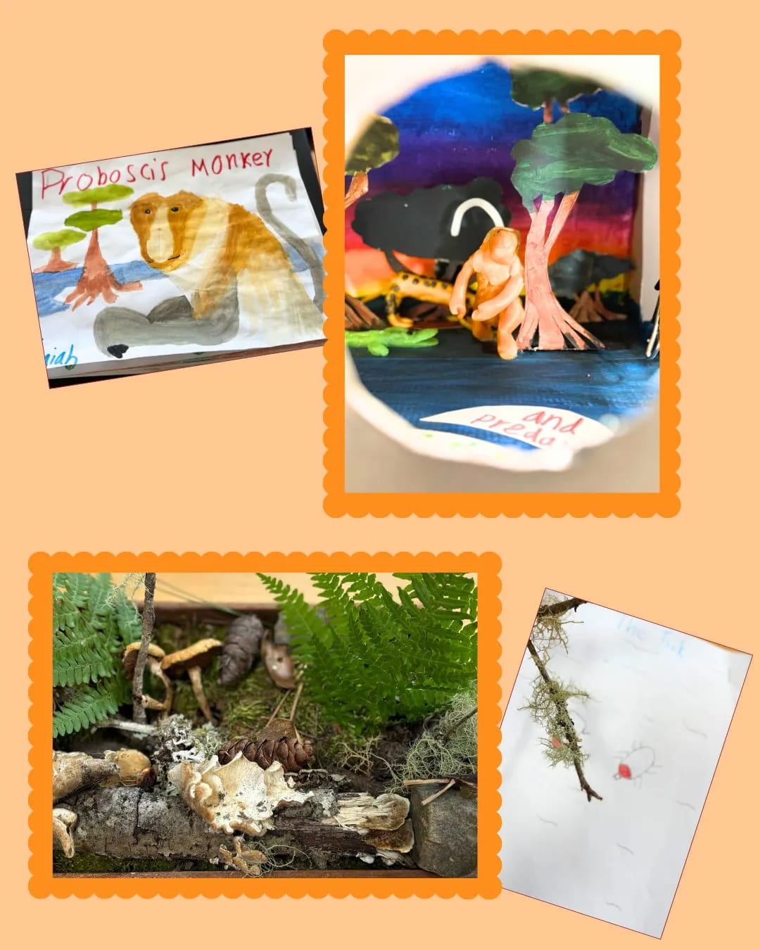G4 animal kingdom art projects