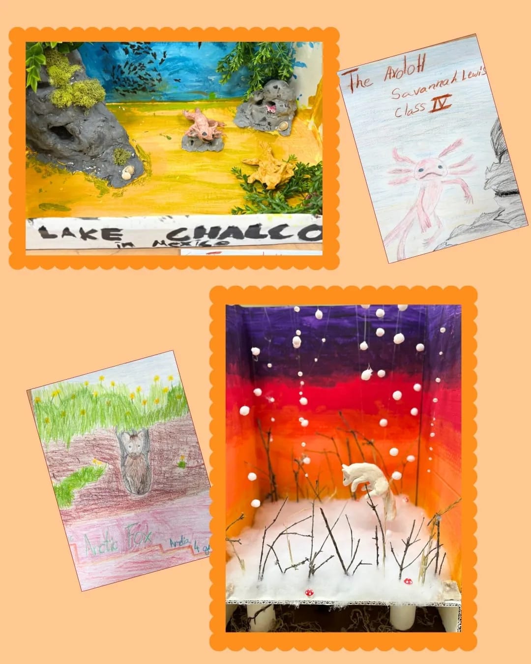 G4 animal kingdom art projects