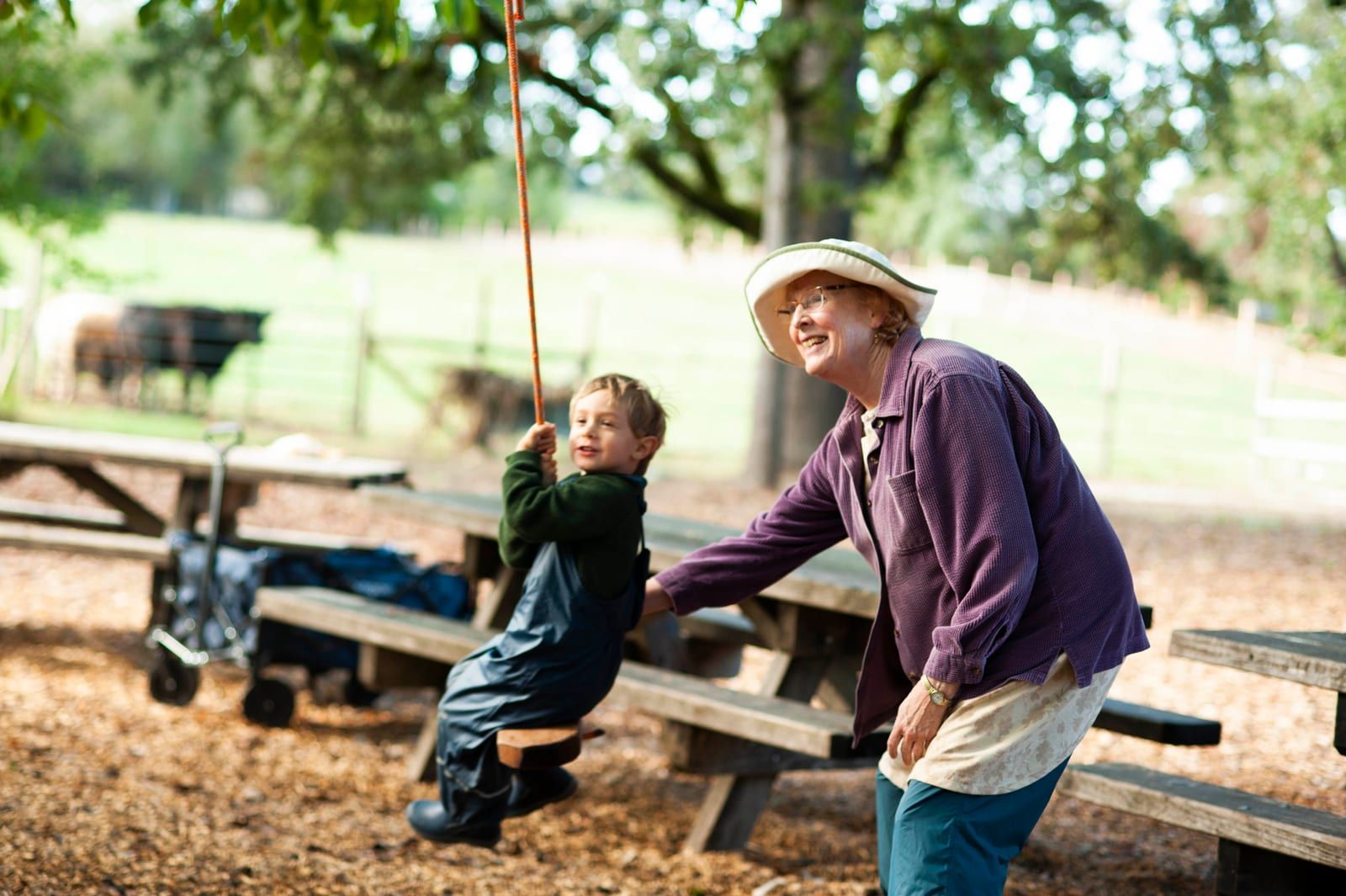 A woman in a sunhat gently pushes a young boy on a rope swing hanging from an oak branch, with picnic tables and grazing cows behind a fence in the background