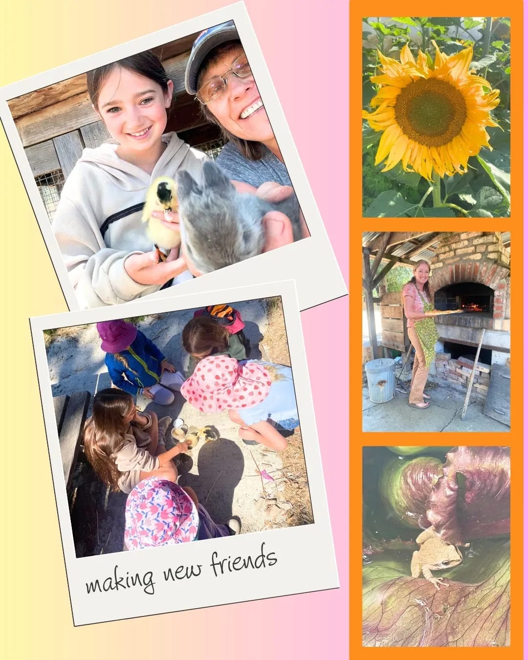 Collage of camp scenes: a camper holding a duckling and a rabbit, kids gathered together outdoors, a sunflower, pizza baking in the wood-fired oven, and a frog resting on a leaf