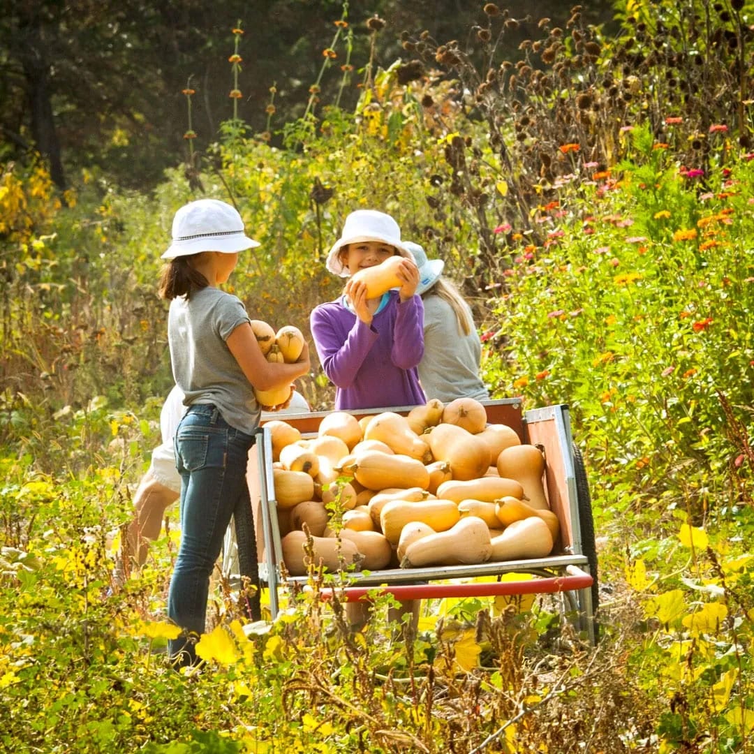 garden-based learning