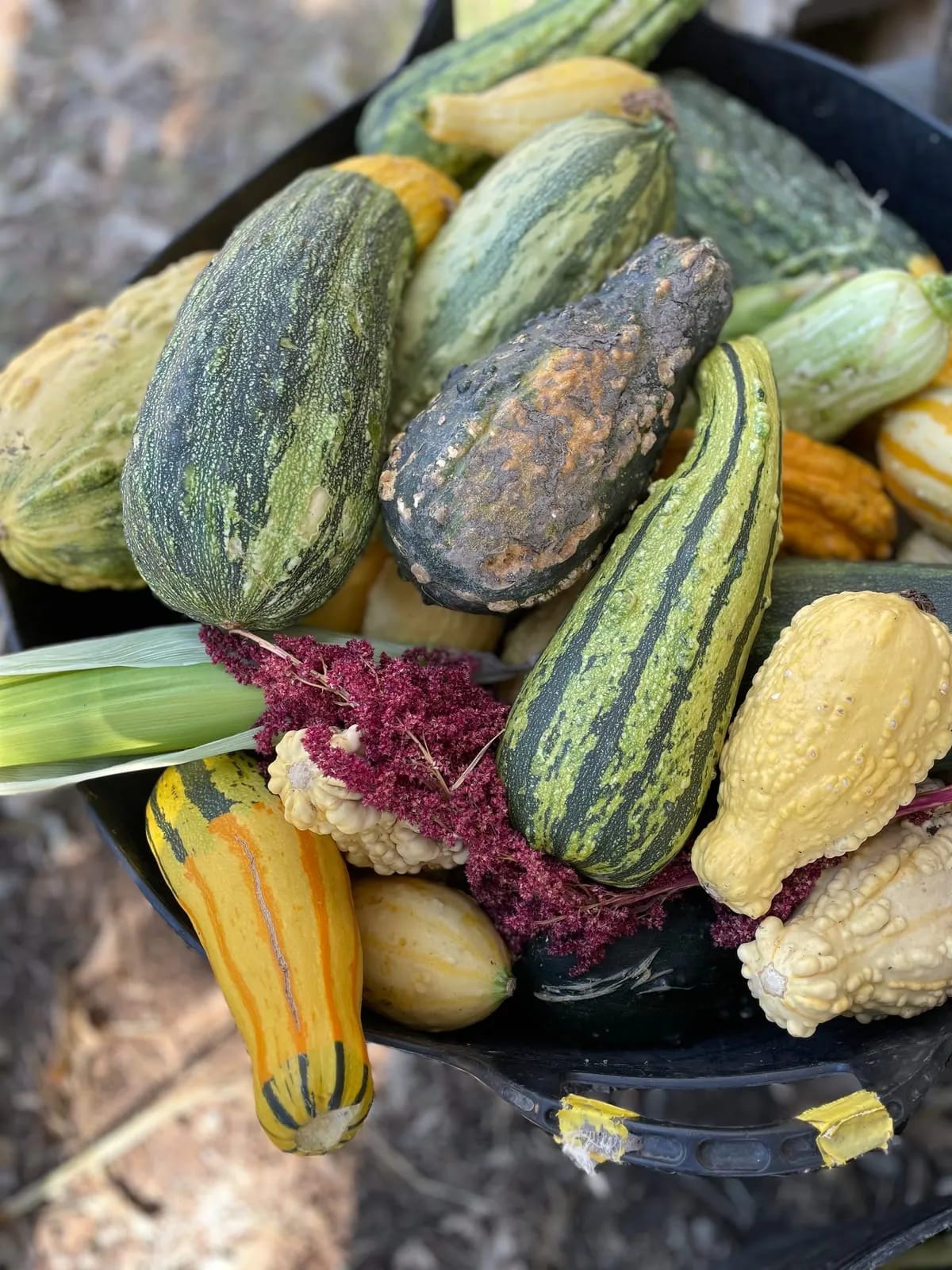 garden-based learning