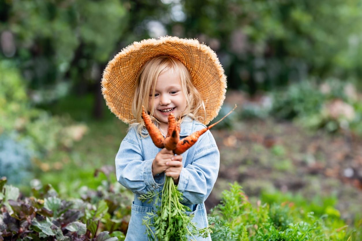 A smiling child in a wide straw sun hat holds up a bunch of freshly pulled carrots in a garden bed.