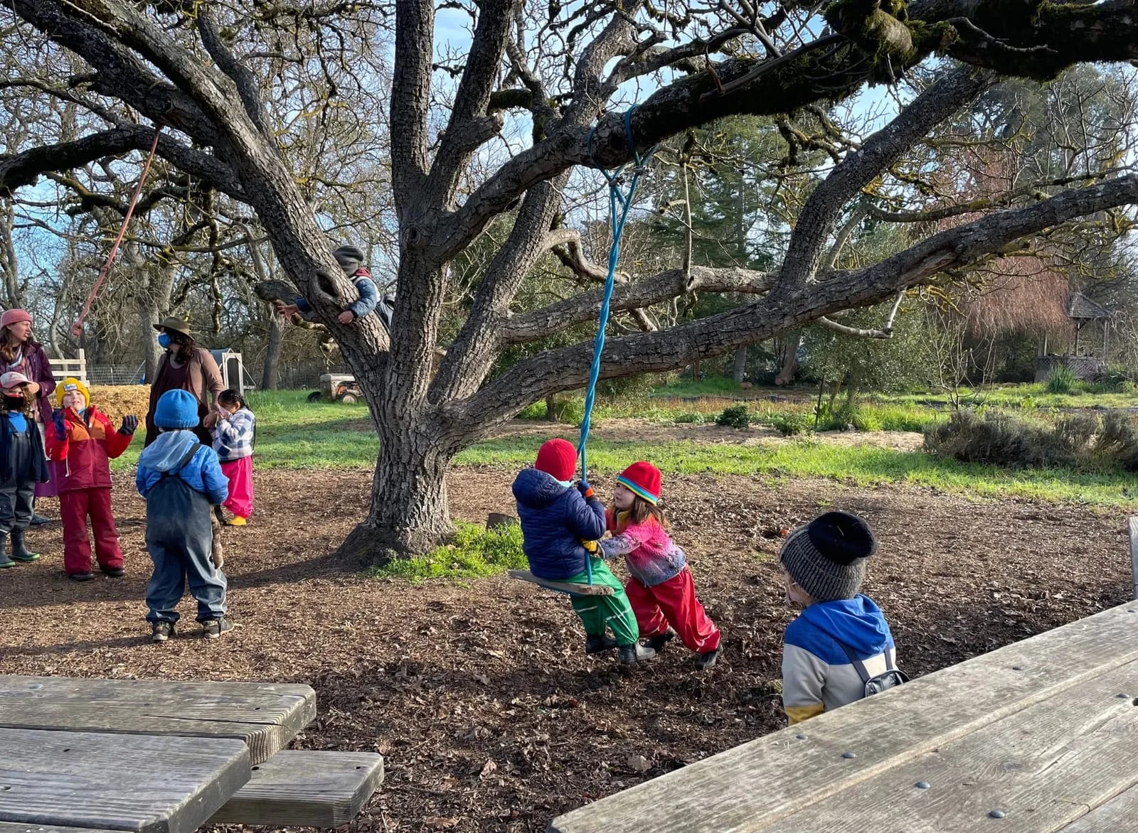 Children on rope swing